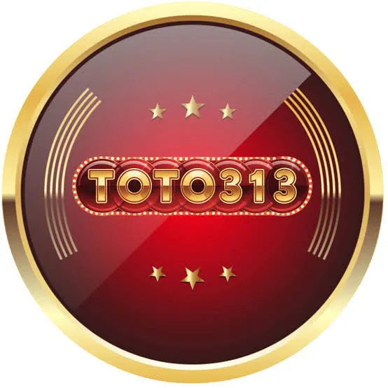 toto313